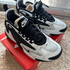 NIKEエアズーム2000の画像