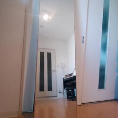 【軽量】スタンドミラーの画像