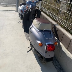 ホンダ　ジョルノDX　AF24の画像