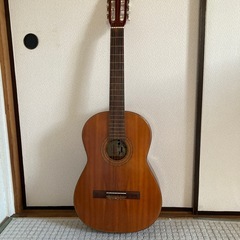 クラシックギター「龍虎」100号