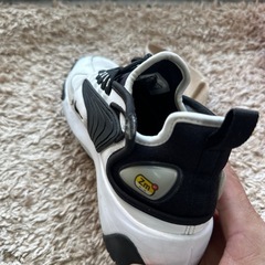 NIKEエアズーム2000の画像