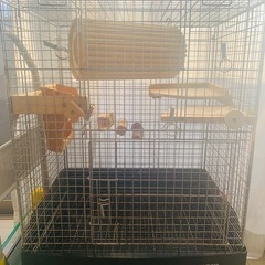 チンチラ、テグー専用飼育グッズ