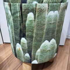 サボテン　丸いす