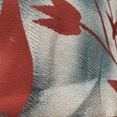 帯の画像