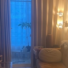 遮光カーテン&レースカーテンの画像