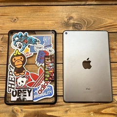 iPad mini 5