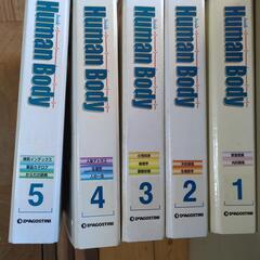 週刊インサイト ヒューマンボディ