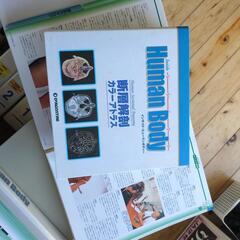 週刊インサイト ヒューマンボディの画像