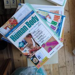 週刊インサイト ヒューマンボディの画像