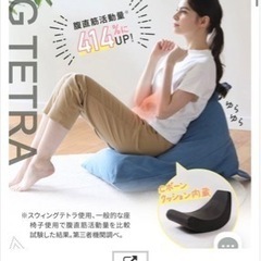 値下げ❣️腹筋が出来るスウィングクッション