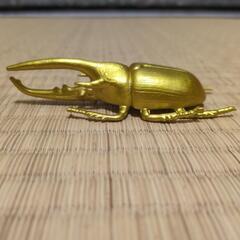 金のカブトムシ？