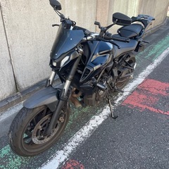 YAMAHA MT-07 2023年式の画像