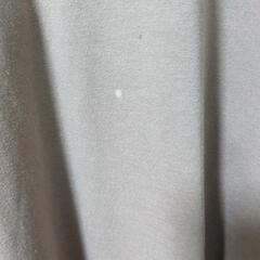 ワンピースの画像