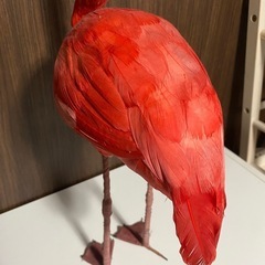 フラミンゴ 置物の画像