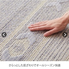 新品　カーペット　ラグの画像