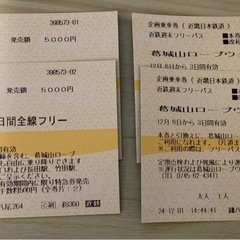 近鉄週末フリーパス 2枚 (ロープウェイ割引付き) 12/8のみ