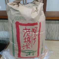 古古米（受け渡しの方、決まりました）