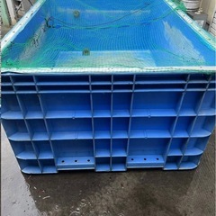 ジャンボックス サンコー　1000L ブルー　サンボックス　錦鯉　金魚　大型水槽 水槽 コンテナの画像