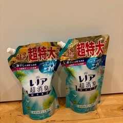 【新品未使用】アリエール レノアの画像