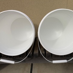 プラスチックペール缶　2個【ふた付】20Ｌ　バケツ　洗濯　靴洗い　メダカの画像