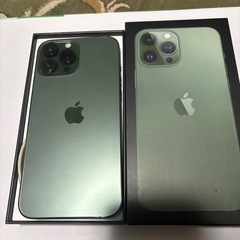 iPhone 13 Pro Max 1TB アルパイングリーンの画像