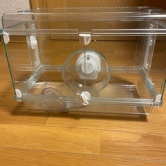 ハムスターケージ　
の画像