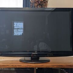 PanasonicパナソニックVIERAビエラTH-P42G2プ...
