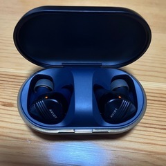 AVIOT TE-W1 完全ワイヤレスイヤホン