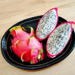 ドラゴンフルーツ　赤白苗セットの画像