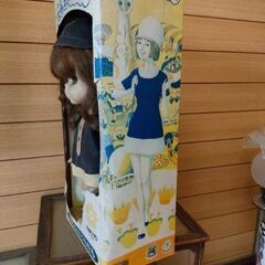 【値段更新2500円】1970万国博覧会  エキスポフラワー  の画像