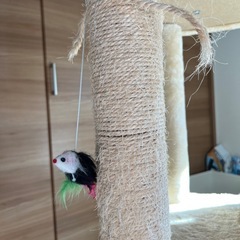 キャットタワー　の画像