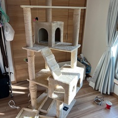 キャットタワー　の画像