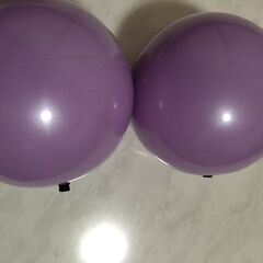 運動ボール約1kg ✕ 2個セット　バランスポール付の画像