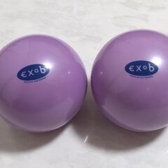 運動ボール約1kg ✕ 2個セット　バランスポール付