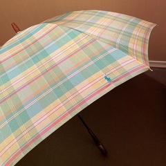 【未使用】ポロ ラルフローレン　長傘　ケース付きの画像