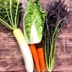 【12月28.29日】今年最後の冬野菜セット