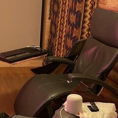 Perfect Chair 420 manual human touch の画像