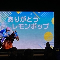 競馬仲間・競馬友達募集😃 年齢性別問いません！初心者大歓迎！一緒に競馬やろう♪ - 友達