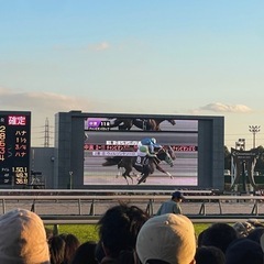 競馬仲間・競馬友達募集😃 年齢性別問いません！初心者大歓迎！一緒に競馬やろう♪ − 東京都