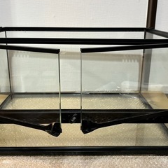 爬虫類ゲージセット！　値下げ交渉あり！
