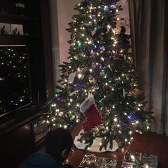 クリスマスツリー195.6cm
