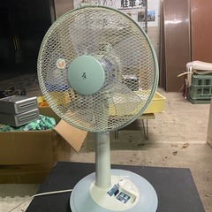 早い者勝ち　無料扇風機
