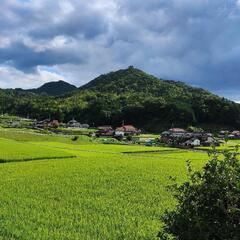 運気上昇グループ − 広島県