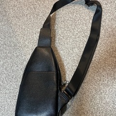 FEIDIKABOLO ワニ　クロコダイル　肩掛けカバン　ショルダーバッグの画像