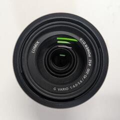 パナソニック LUMIX G VARIO 45-200mm F4.0-5.6 II POWER O.I.S. 望遠レンズの画像