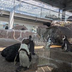対面、Zoom問わず話しましょー🎶