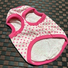 超小型犬用　パピー　XS 犬猫　服の画像