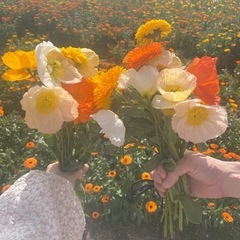 あったかいお友達ができればいいなと思ってます🌼