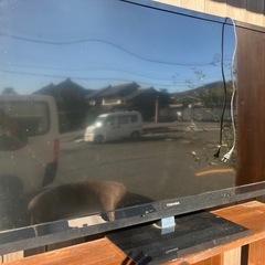 テレビ55インチ