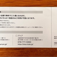 四国水族館　ご招待券の画像